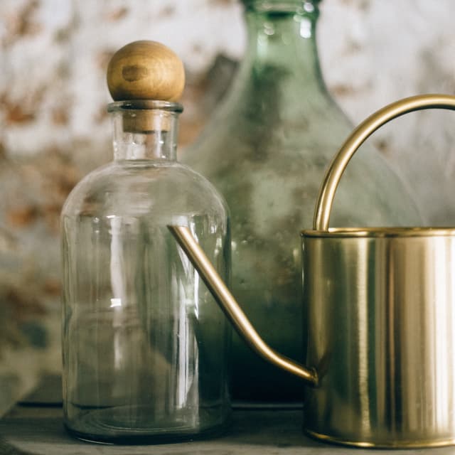 Plantas en macetas picture